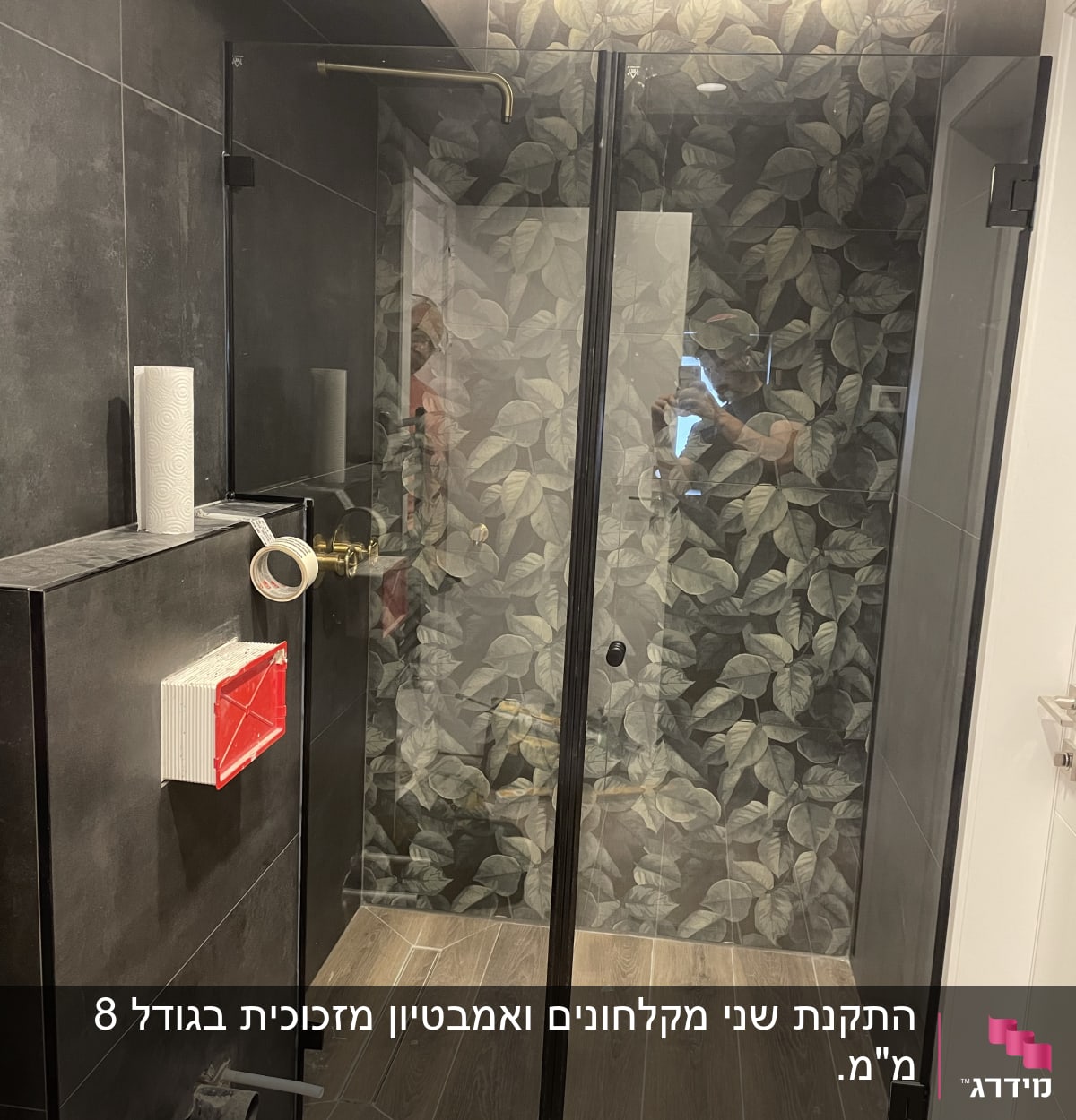 מקלחון זכוכית עם דלתות שקופות ודוגמת עלים